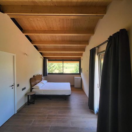 Affittacamere Ca N'Aliguer Ripoll Esterno foto