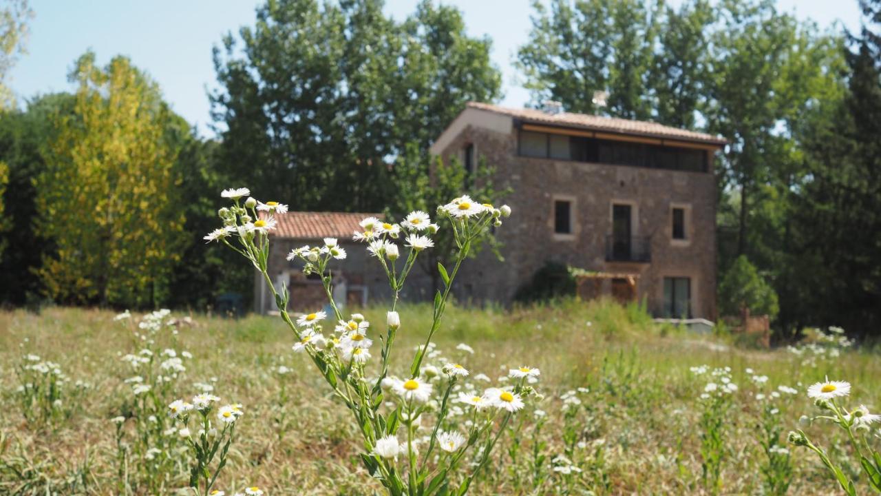 Affittacamere Ca N'Aliguer Ripoll Esterno foto